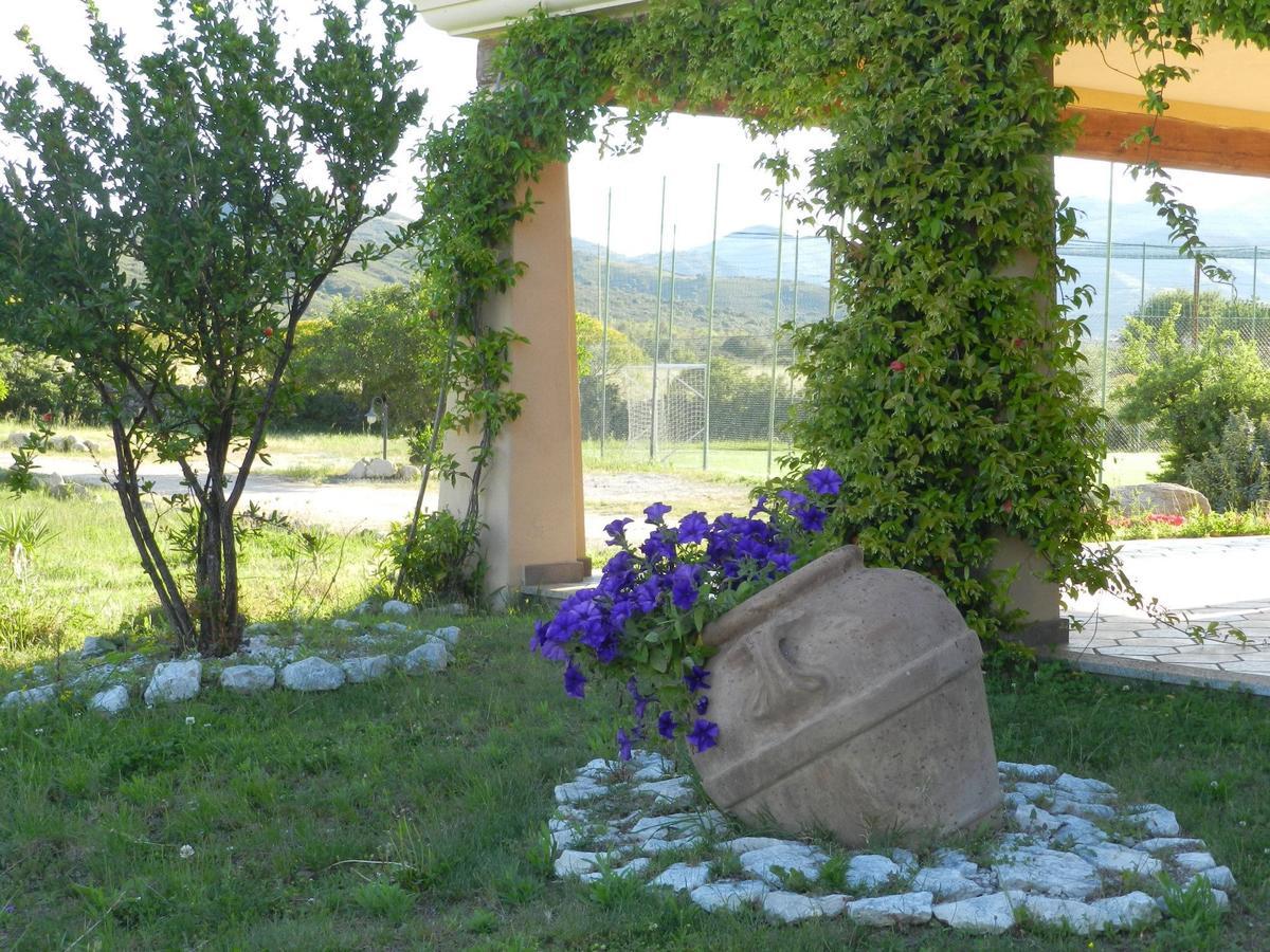 Hotel Minnia Budoni Dış mekan fotoğraf